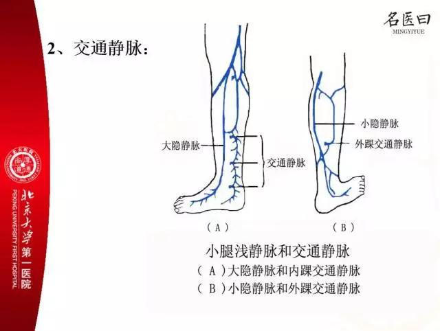 静脉瓣膜作用是防止血液返流 下肢静脉里血管腔内有静脉瓣膜,作用是