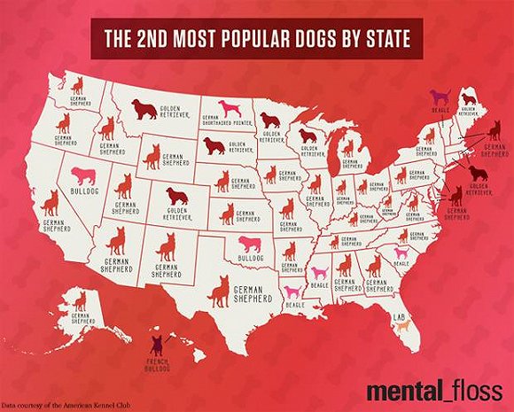 美国各州差异就在这25张地图里图片