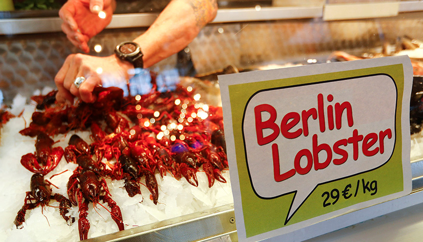 【天下奇闻】小龙虾横行柏林 政府忍无可忍:抓