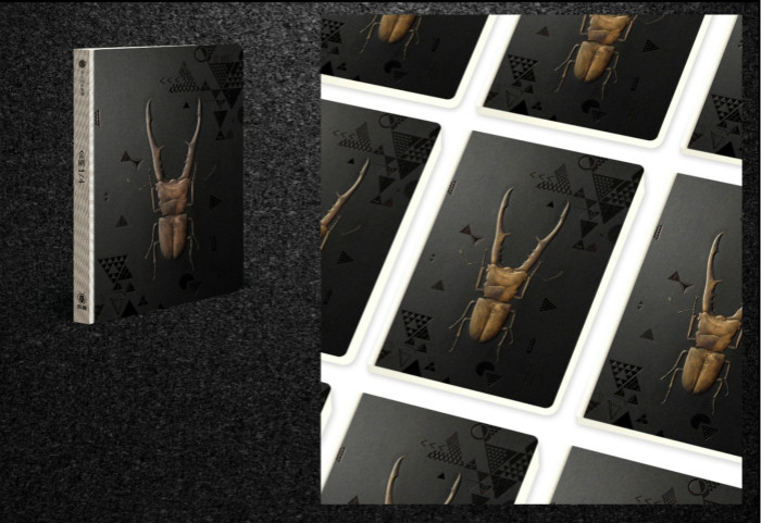 封面甲虫形象取材于生长在印尼苏拉维西岛及周边岛屿的"美他力弗细身图片