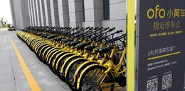 顺丰起诉，ofo被法院裁定冻结1300万资金