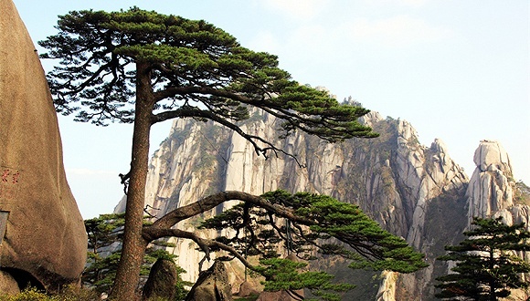 黄山景区首例有偿救援