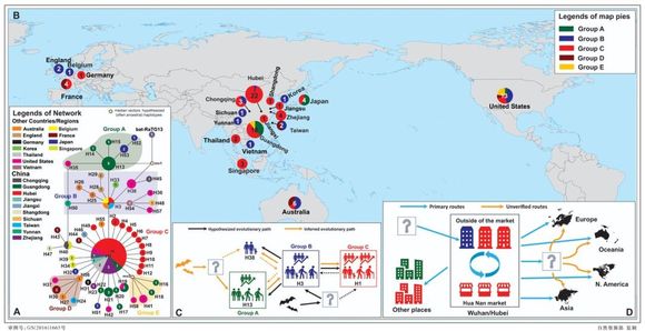 中科院最新研究：华南海鲜市场不是病毒始发地