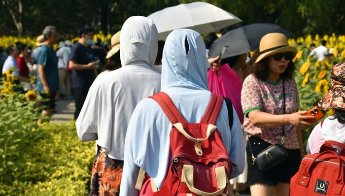 管家婆马报图今晚