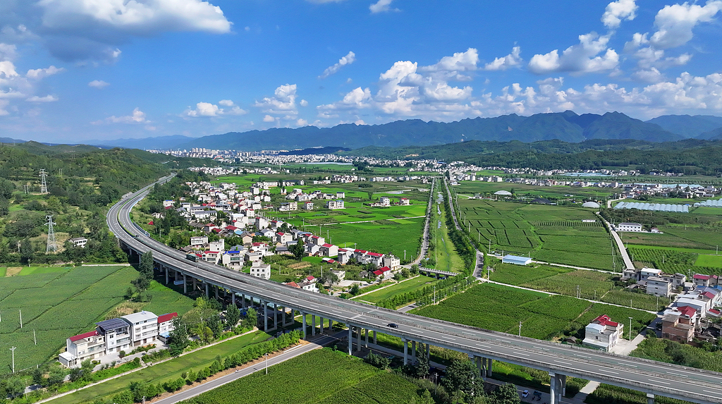 罗志恒：建议优化并新增储备一批财政政策|界面新闻
