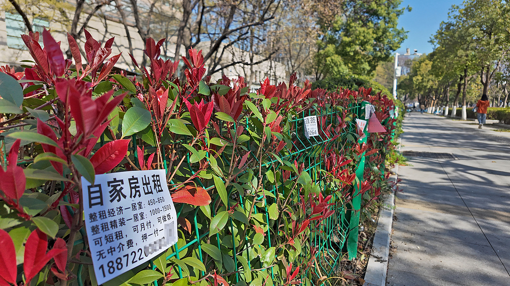 苏州少儿搏击武术散打（报名咨询）1891-5555-567：:苏州少儿武术散打（报名咨询）1891-5555-567：-租房市场迎最强监管，备案制或终结房东“逃税时代”