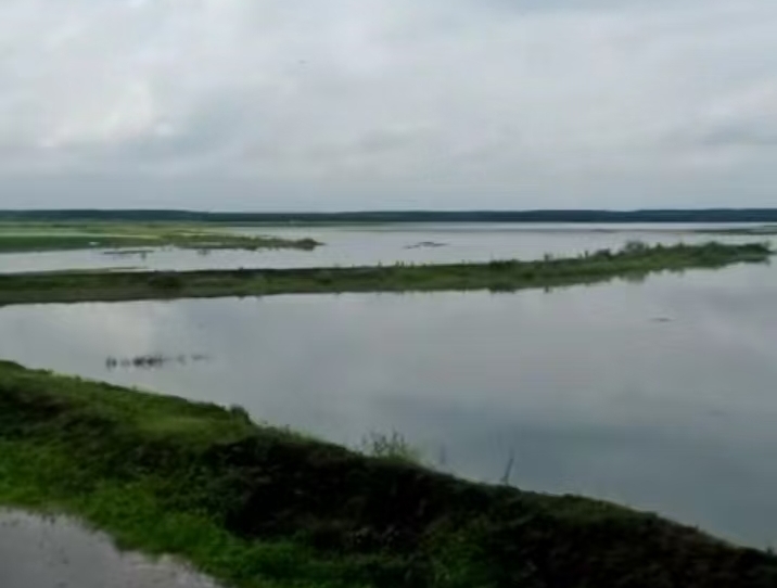 法治面 | 内蒙古8700亩行洪区土地承包后被淹,谁该担责? 法治面 | 内蒙古8700亩行洪区土地承包后被淹,谁该担责?