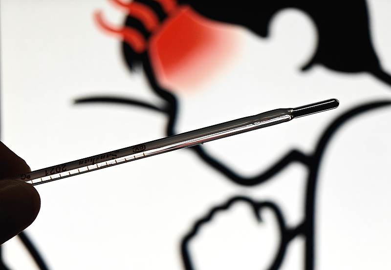 水银体温计即将禁产，多家电商平台出现断货