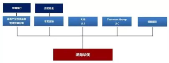 渤海华美的股东结构图