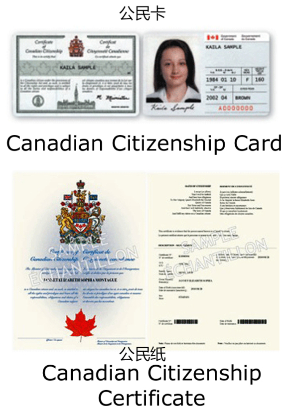 塑封公民纸=废纸 这下连加拿大护照都拿不到了