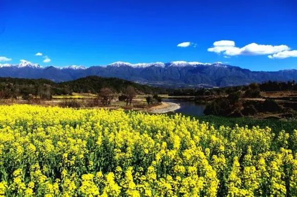 【视频】界头:高黎贡山下的伊甸园,油菜花海中的醉美云南