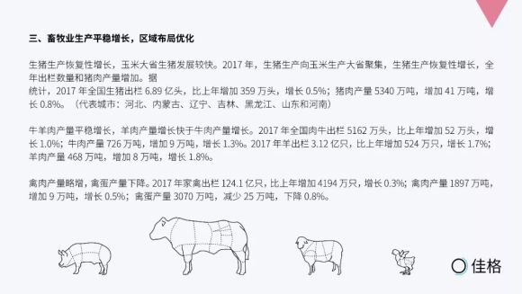 中国人口老龄化_中国人口白皮书