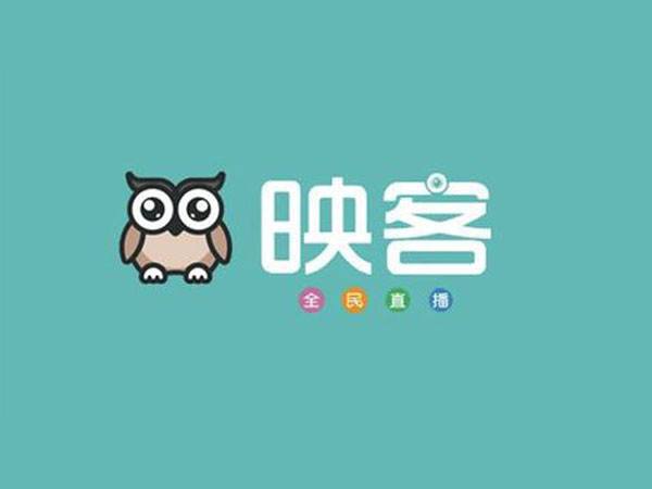 财政收入结构_收入结构单一(3)