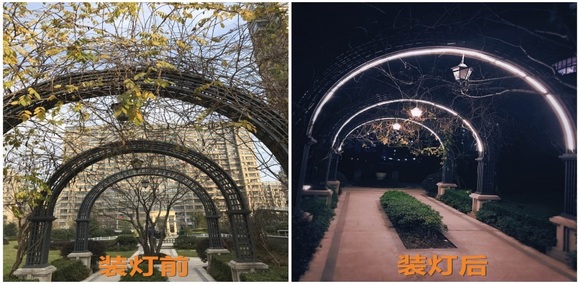 托乐嘉人口_托乐嘉夜市