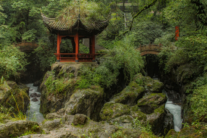 夏天的峨眉山沁人心脾,佛音缭绕的香烟里总能拍到洗象池的禅意
