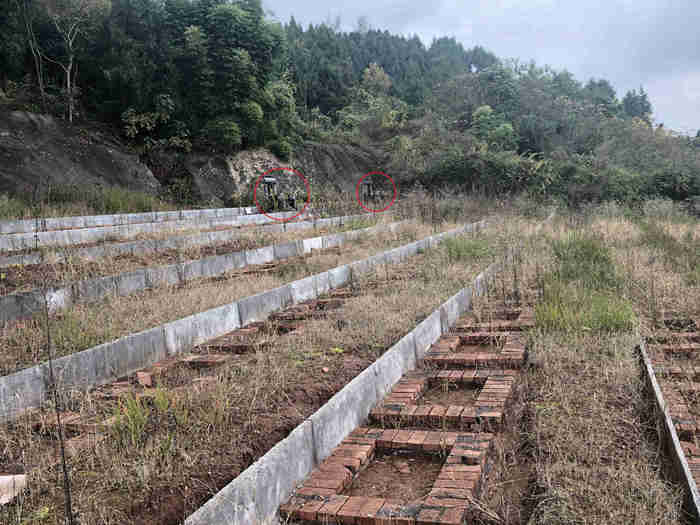 公开报道显示,金顶山公墓系龙门山脉支脉,经多名专家亲临现场考察论证