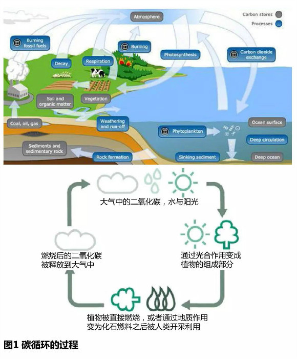 低碳生活相关资料_低碳生活资料_低碳生活资料卡