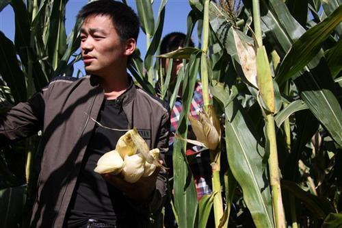 特稿|这几天唯一关于他的报道:王宝强这几年
