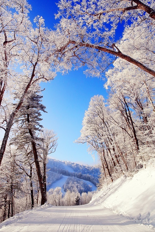 全球6大雪场 10间酒店推荐 抓住冬天的尾巴再刺激一把 界面新闻