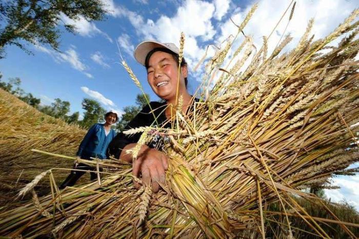 12.png?x-oss-process=style/w7