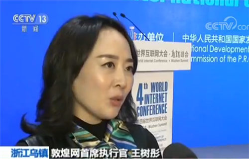 敦煌网首席执行官王树彤