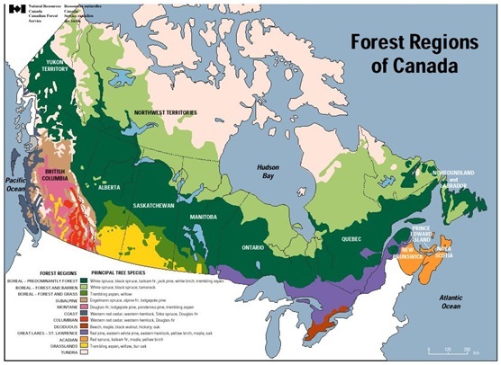 加拿大森林資源分佈圖.圖片來自natural resources canada