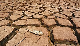 江西持续高温：280万亩农作物受旱 14万人饮水困难