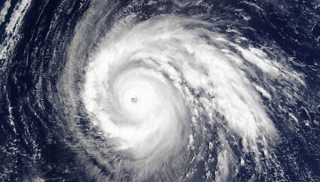 台风温比亚图片