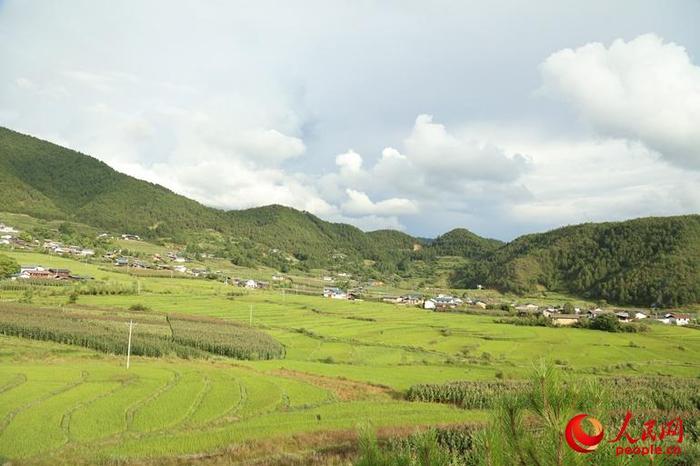 进入攀天阁乡境内，林木茂盛，透过路边的松树林，远远望见山下是一片绿油油的田地，有古色民居错落分布，衬着远山的云雾，犹如世外田园仙境。（人民网/杨僧宇摄）