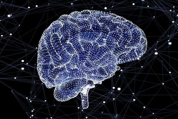 1540787996826100_a580xH.jpg