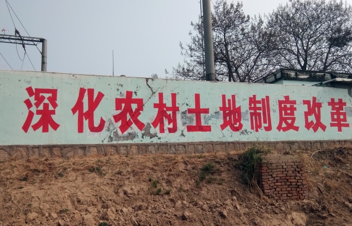 图片来源：视觉中国