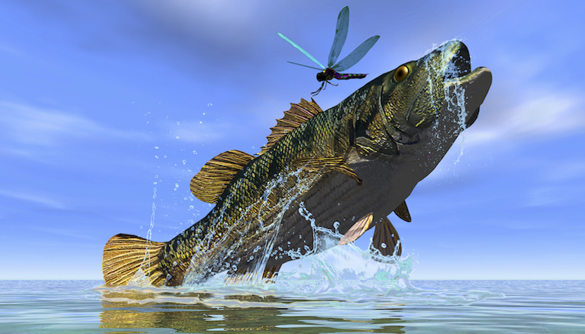 新物种大爆发,旧物种如何末路重生?