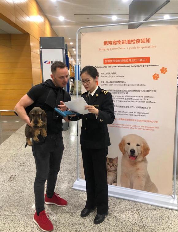 上海海关将实施宠物新政,这几种宠物可免入境