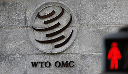中国版WTO改革方案有哪些亮点？