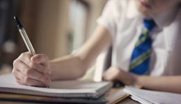 紫光学大回复深交所问询函：培训机构整治成业绩下滑主因