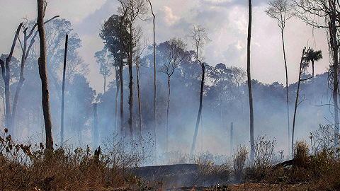 巴西出动军机压制火情，G7为支持亚马孙雨林灭火准备协议