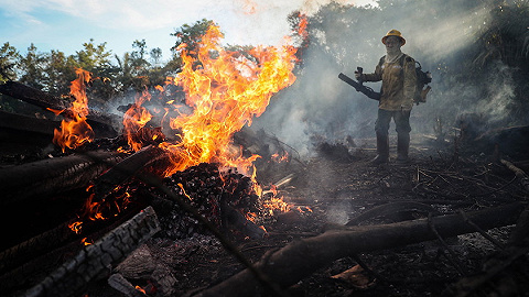 雨林大火持续不灭，南美七国呼吁携手保护亚马孙