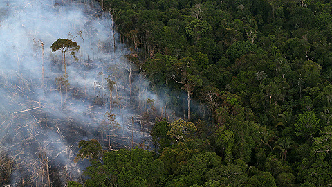 亚马孙雨林火势渐弱，巴西称发达国家应多掏钱少挑刺儿