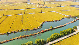 从南京样本看都市农业与乡村振兴