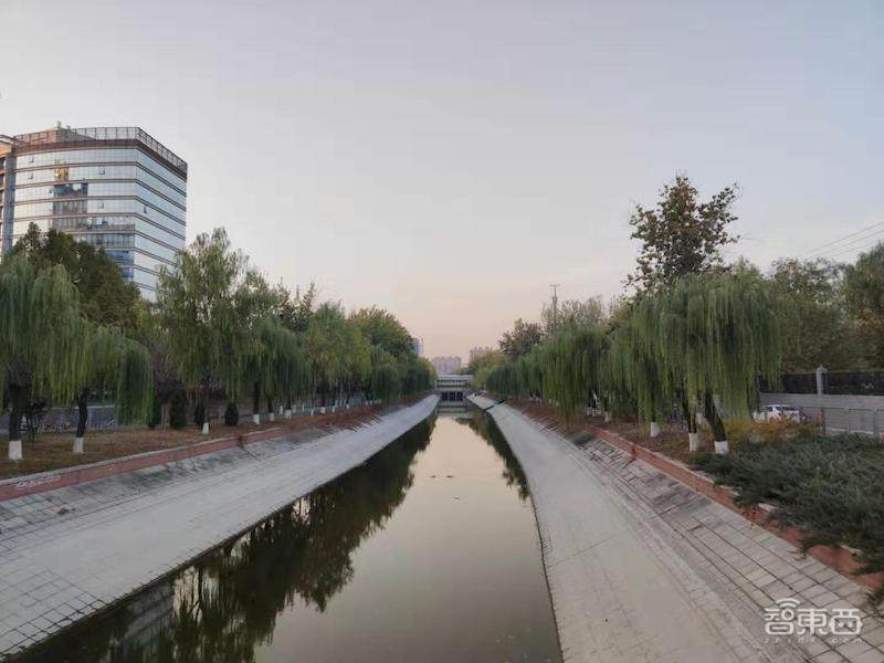 小米1亿像素手机拍照体验,从微距拍到超广角,效果到底如何?