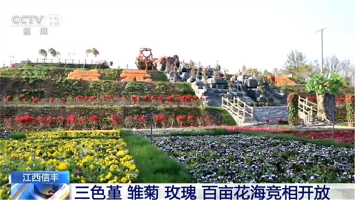 百花争艳的美景 各地不少花儿进入盛花期 界面新闻 中国