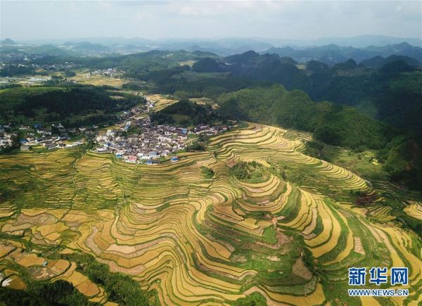 （决战决胜脱贫攻坚·图文互动）（3）一个小镇“撬动”整县脱贫——社会扶贫的贵州丹寨样板