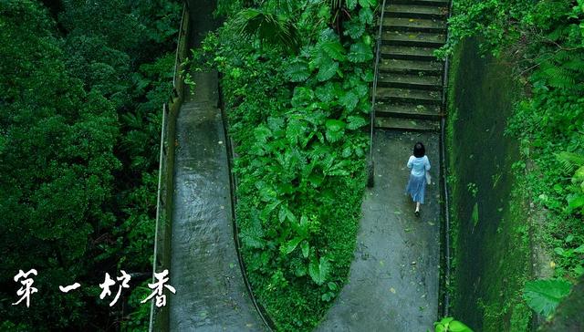 东京电影节 第一炉香 妥协换不来佳作 即便许鞍华也一样 界面新闻