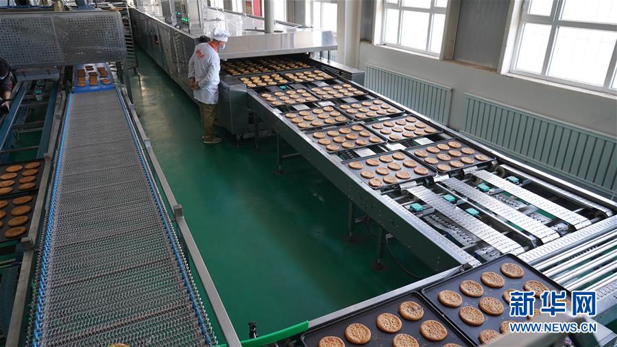 (全面建成小康社会“百城千县万村调研行”·图文互动)(4)新疆柯坪在盐碱地上“闯”出脱贫致富路