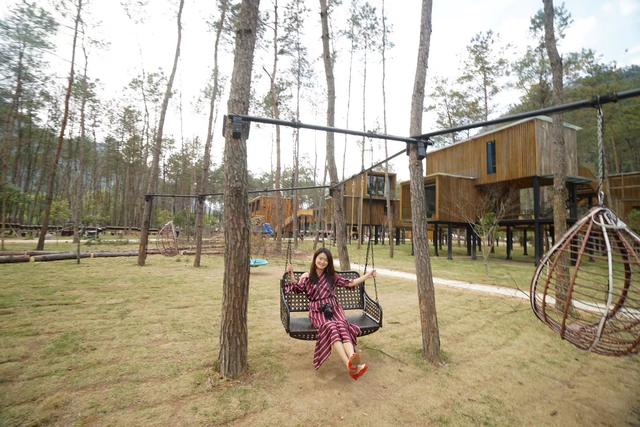 温州A级景区集合,有的闻名四海有的鲜为人知,收藏起来去打卡