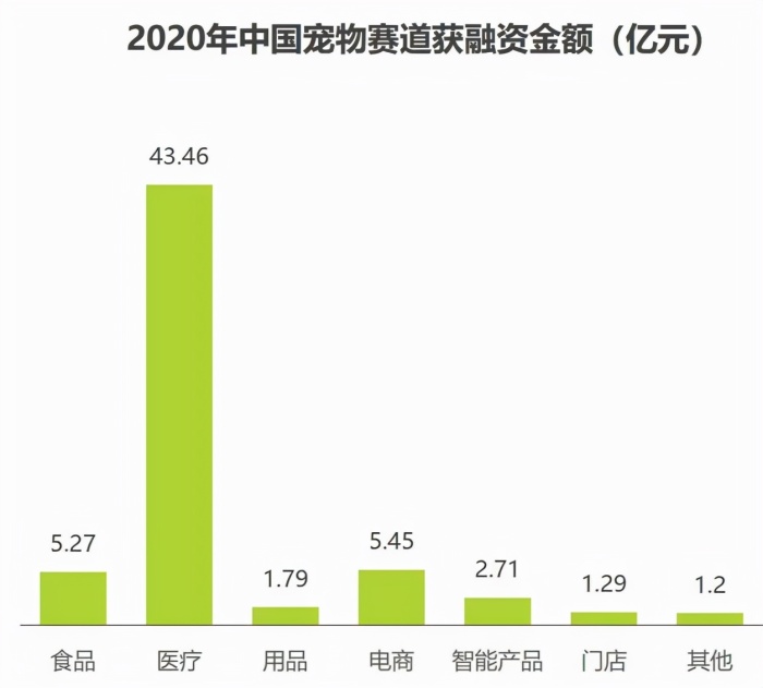 给 毛孩子 治病 宠主们能接受多少钱 界面 财经号