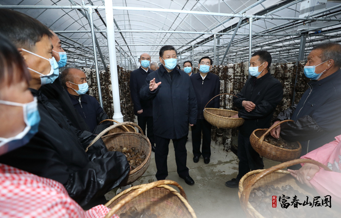 2020年4月20日，习近平总书记在陕西省商洛市柞水县小岭镇金米村智能联栋木耳大棚，同村民亲切交流。