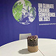 生态环境部：中美格拉斯哥联合宣言为COP26大会成功起关键作用