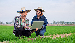 新型职业农民已超2000万，农民职业教育培训最受欢迎的课程是什么？