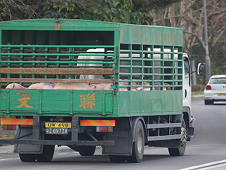 147名跨境货车司机核酸阳性，深圳启动海运供应香港物资